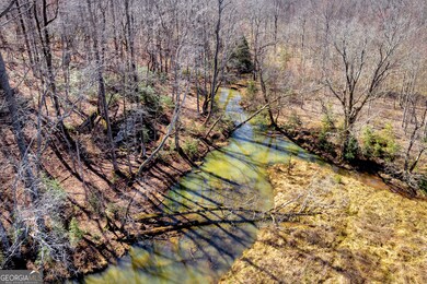 0 Gladston Rd, Mt.Airy, GA 30563 - photo 5