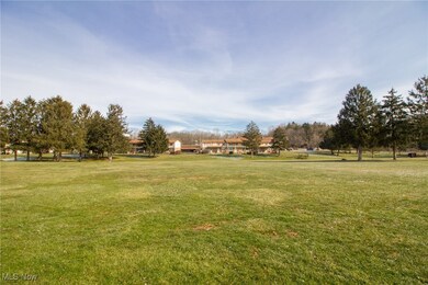 335 Carriage Ln, Canfield, OH 44406 - photo 6