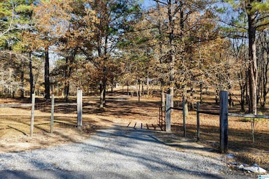 12734 Pheasant Dr, McCalla, AL 35111 - photo 5