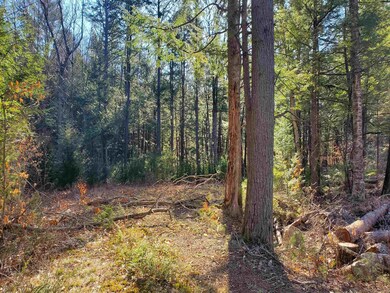 Lot R06-34B Forest Pond Rd, New Hampton, NH 03256 - photo 3