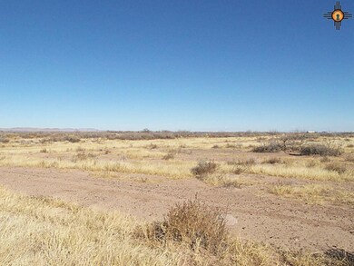 0 Dr Unit 111 Bk 2 T 18-27 unit 20180432, Deming, NM 88030 - photo 5