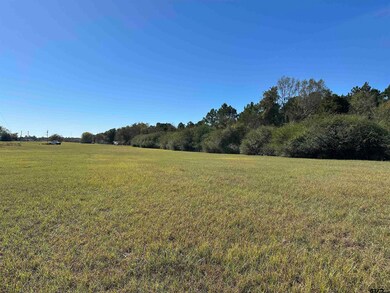 14B  / TBD Old Spanish Trial Dr, Alto, TX 75925 - photo 7