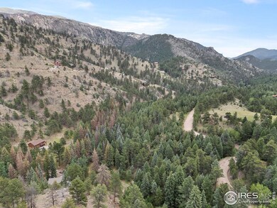 0 Miller Fork Rd unit 1047651, Glen Haven, CO 80532 - photo 5