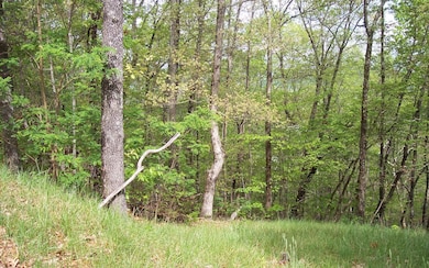 Additional View
