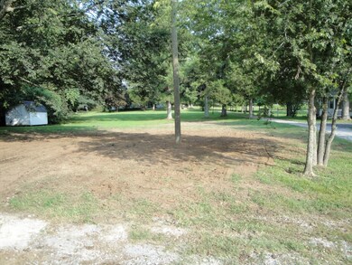 Older photo of back yard, there is grass and will putting up a fence as well