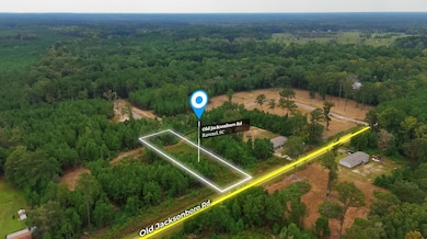 0 Old Jacksonboro Rd unit 25025920, Jericho, SC 29426 - photo 2