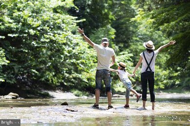 8050 Leeds Manor Rd, Marshall, VA 20115 - photo 6