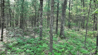 land view 2