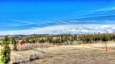 46 Red Bird Ln, Como, CO 80432 - photo 3