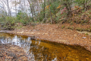 85 County Road 3217, Haleyville, AL 35565 - photo 3