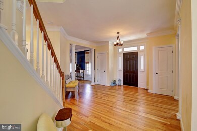 704 Irvine Bank Ln, Purcellville, VA 20132 - photo 3