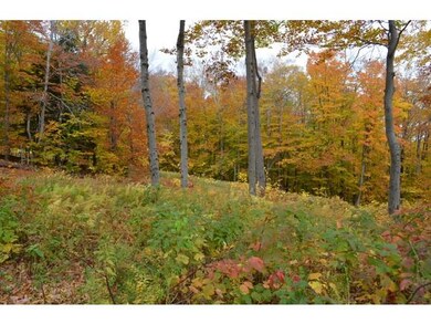 00 Route 66 unit 69, Ludlow, VT 05149 - photo 6