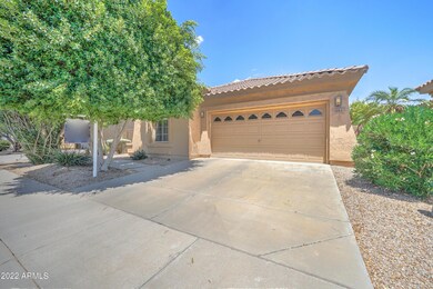 541 N Eucalyptus Pl-3