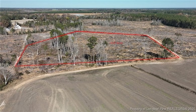 Lot 7 Barnesville Church Rd, Orrum, NC 28369 - photo 7