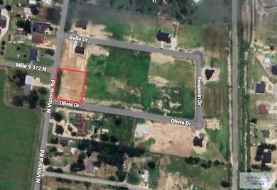 0 Olivia Dr unit 29770235, Donna, TX 78573 - photo 3