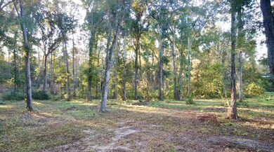 00 Collins Rd, Cairo, GA 39828 - photo 4