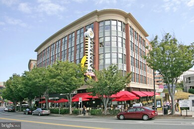 7211 Oakridge Ave, Chevy Chase, MD 20815 - photo 3