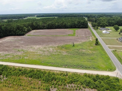 TBD Highway 308 unit Lot 1, Galivants Ferry, SC 29544 - photo 2
