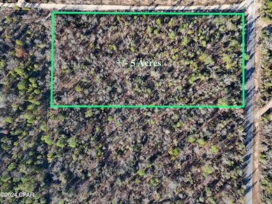 000 NW Apachee Rd, Fountain, FL 32438 - photo 7