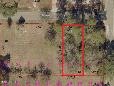 Evans Street Aerial Location