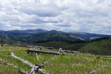 TBD Majestic Heights Rd unit TBD Mountaintop Maje, Sturgis, SD 57785 - photo 5