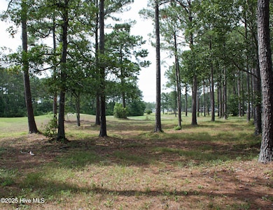 6247 Castlebrook Way SW, Ocean Isle Beach, NC 28469 - photo 6