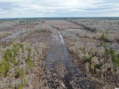 3617 Old Reaves Ferry Rd, Conway, SC 29526 - photo 6