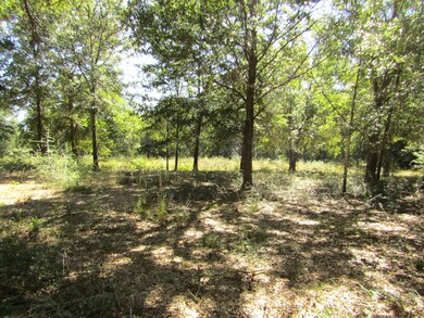 1038 Valley Rd, Crestview, FL 32539 - photo 4