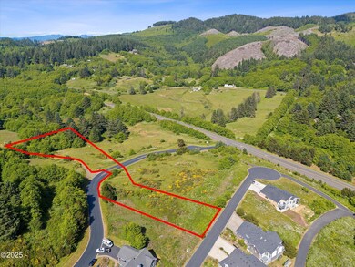 4-DJI_20250617163032_0111_D_DJI copy