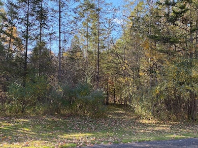 00 N Elm St, Canaan, CT 06018 - photo 3