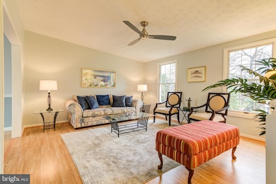 309 Niagara Ct, Takoma Park, MD 20912 - photo 3