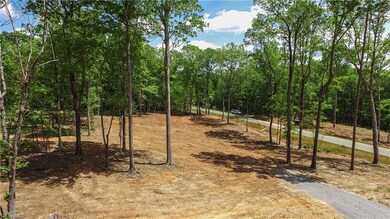 000 Badin Ln, Asheboro, NC 27205 - photo 6