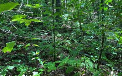 Additional View