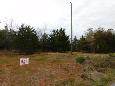 5 (P3) Brights Rd, Gretna, VA 24557 - photo 6