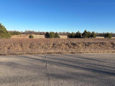 Tbd Leaf River Rd, Ottertail, MN 56571 - photo 5