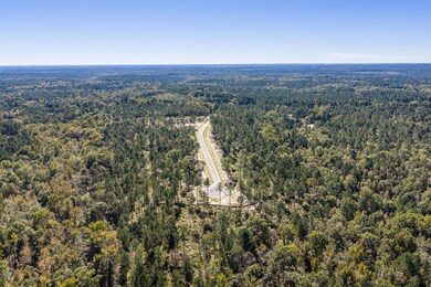 158 Beagle Chase Dr, Appling, GA 30802 - photo 7