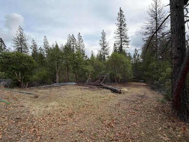 0 E Evans Creek Rd unit 10149540, White City, OR 97503 - photo 4