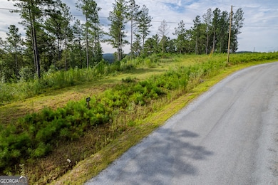 Lot 195 Blalock Mountain Rd, Talking Rock, GA 30175 - photo 3