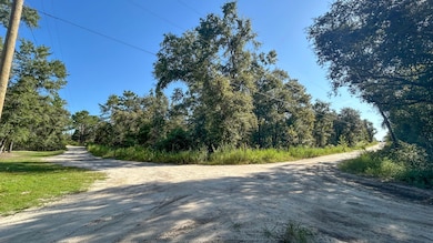 Lot 1 Ne 85th St, Bronson, FL 32621 - photo 3