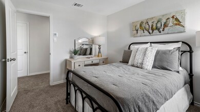 3924 Amethyst Dr, Celina, TX 75009 - photo 5