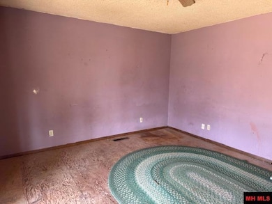 128 Hickory Shadow Ln, Lakeview, AR 72642 - photo 2