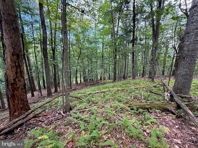 Lot 20 Wits End, Mathias, WV 26812 - photo 6