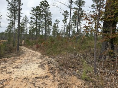 0 Cr 472 unit 144947, Meridian, MS 39301 - photo 4