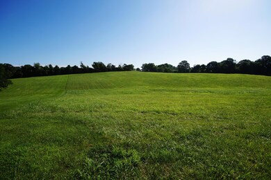 1712 S Songbird Cir, Nixa, MO 65714 - photo 2