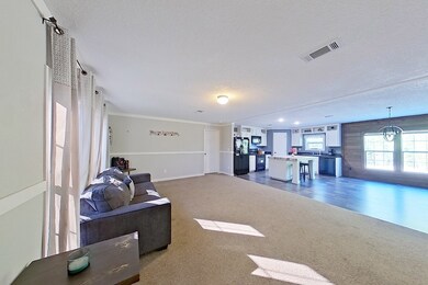 2545 Stage Coach Rd, Meigs, GA 31765 - photo 2