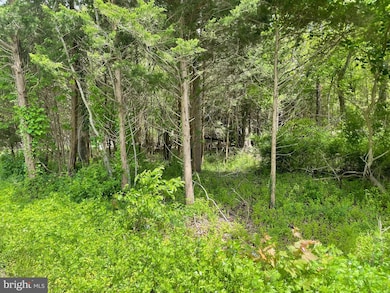 742 State Route 9, Mystic Islands, NJ 08087 - photo 6