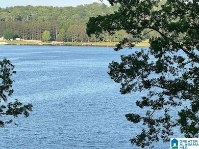 0 Davis Acres Dr unit 72 & 73 21417315, Alpine, AL 35014 - photo 6