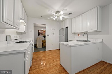 9450 Wordsworth Way unit 304, Owings Mills, MD 21117 - photo 4