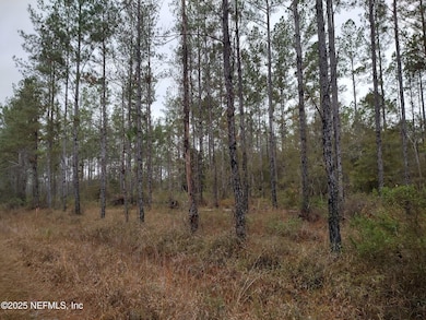 1757 Whippoorwill Ln, Glen St. Mary, FL 32040 - photo 3