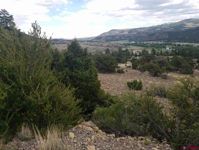 TBD Little Bear Circle Lot 54, South Fork, CO 81154 - photo 4